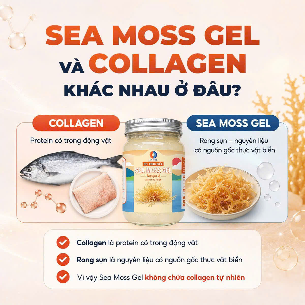 Japi Foods - Sea moss gel và Collagen khác nhau ở đâu ?