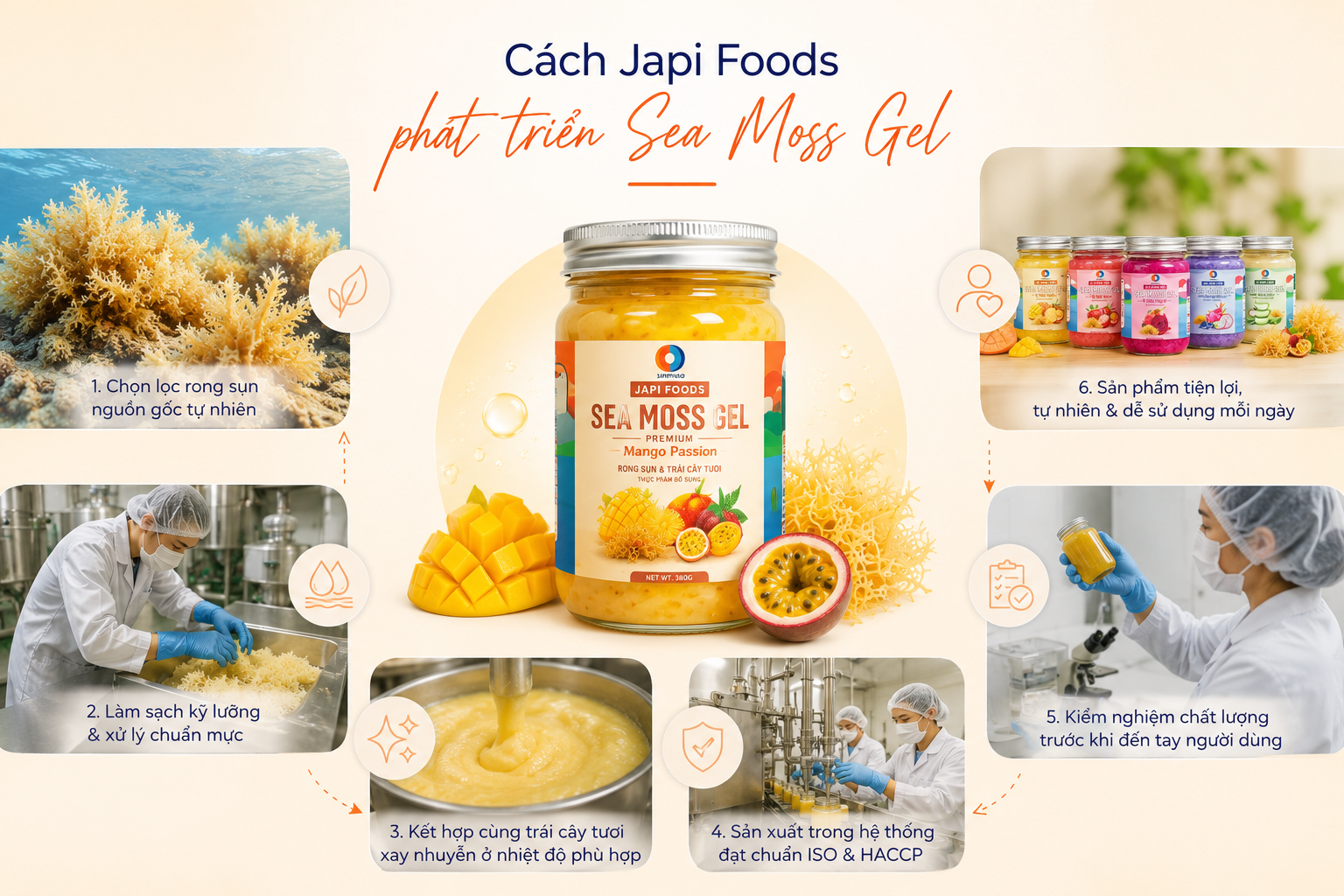 Japi Foods – Sea Moss Gel cho routine chăm sóc cơ thể mỗi ngày