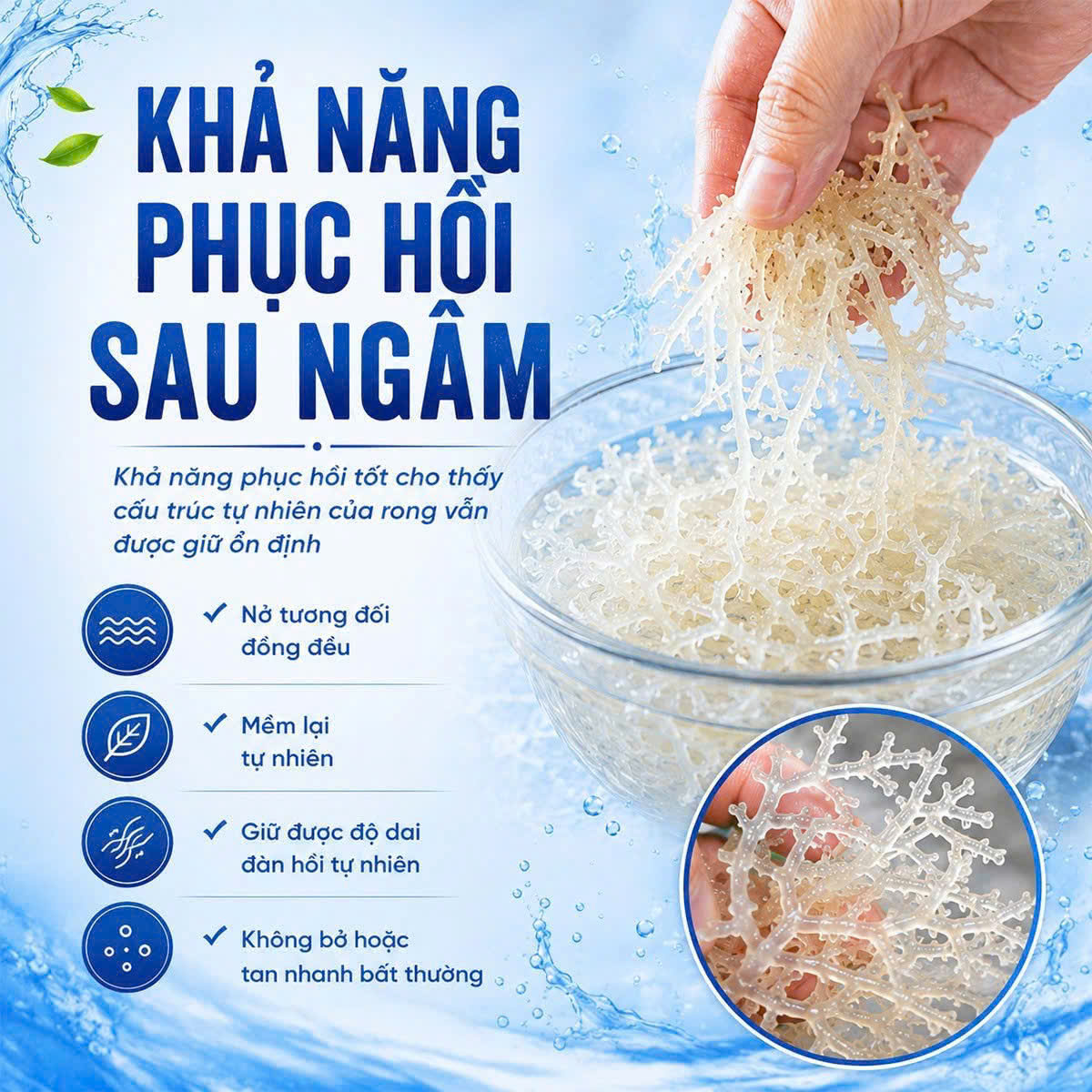 Khả năng phục hồi sau khi ngâm phản ánh rõ chất lượng rong sụn