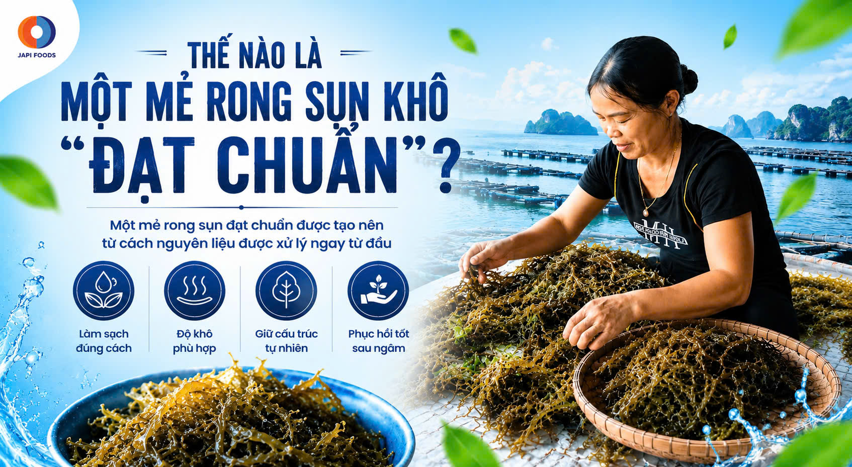 Japi Foods – Thế nào là một mẻ rong sụn khô đạt chuẩn?