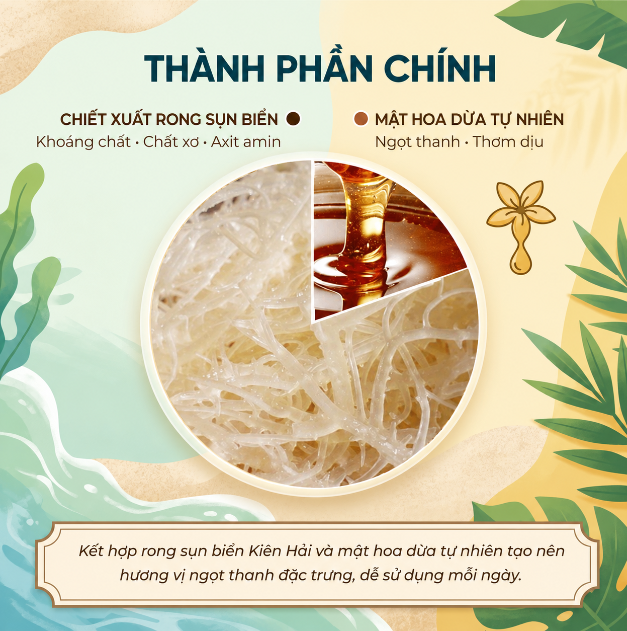 Alternative view of Mật rong sụn hoa dừa