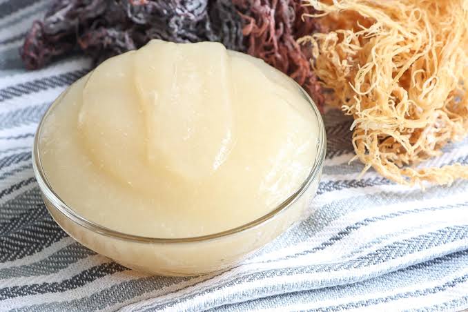 4 lợi ích của Sea Moss Gel- nguồn dinh dưỡng tự nhiên