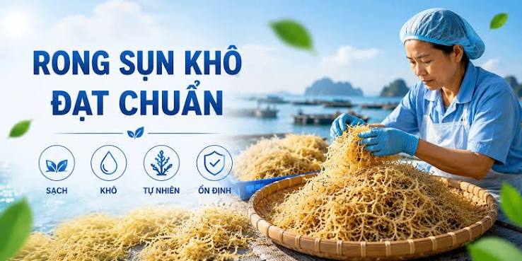 Rong sụn ăn với gì?- 5 cách kết hợp thơm ngon, bổ dưỡng