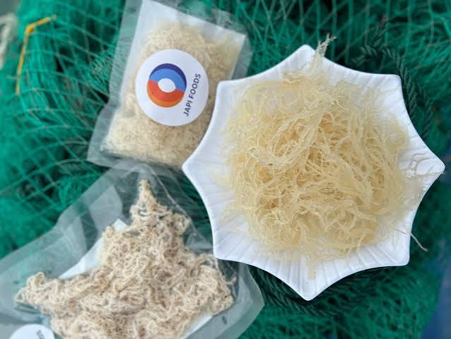 Rong sụn ăn với gì?- 5 cách kết hợp thơm ngon, bổ dưỡng