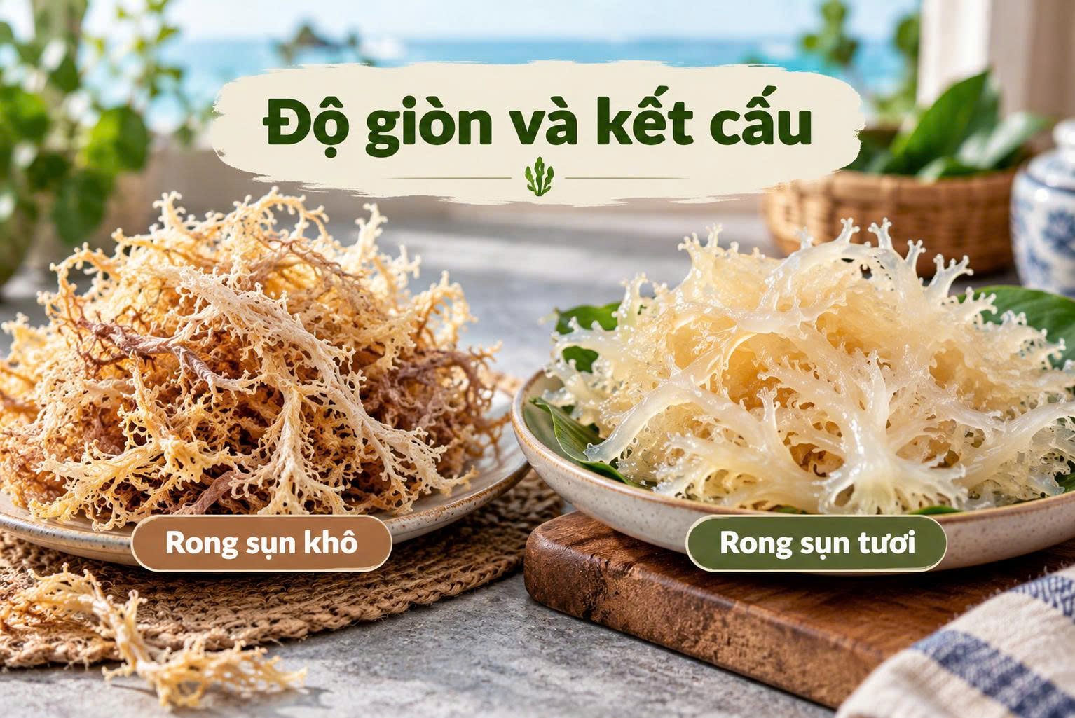 Rong sụn khô và rong sụn tươi khác nhau thế nào?