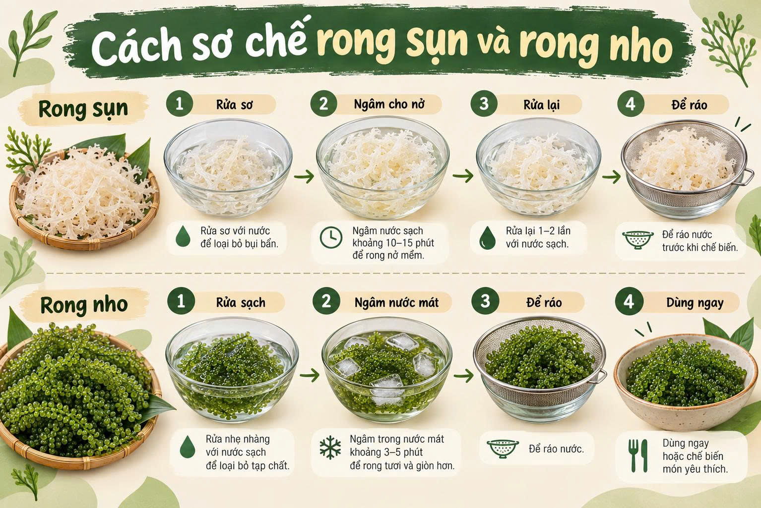 Rong sụn và rong nho khác nhau thế nào? Nên chọn loại nào?